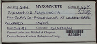 Image Associated With the Occurence